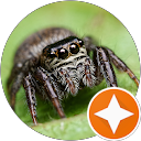 Photo de profil de Val C